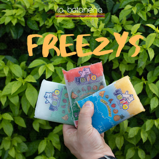 FREEZY